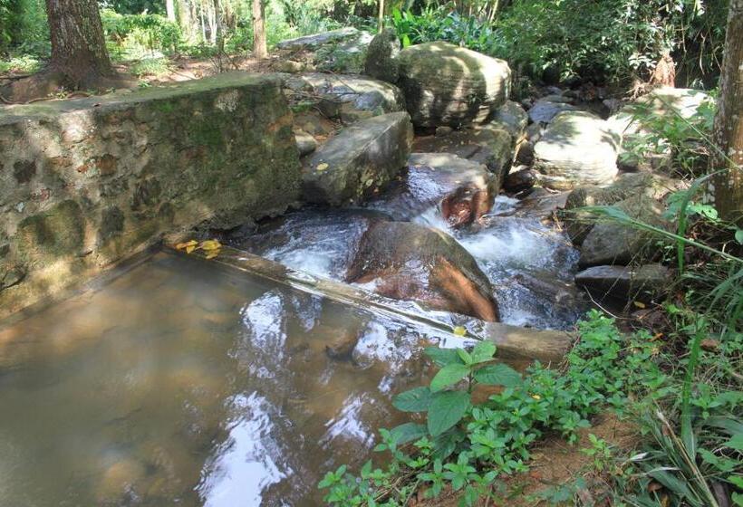 Pensión Jungle Tide