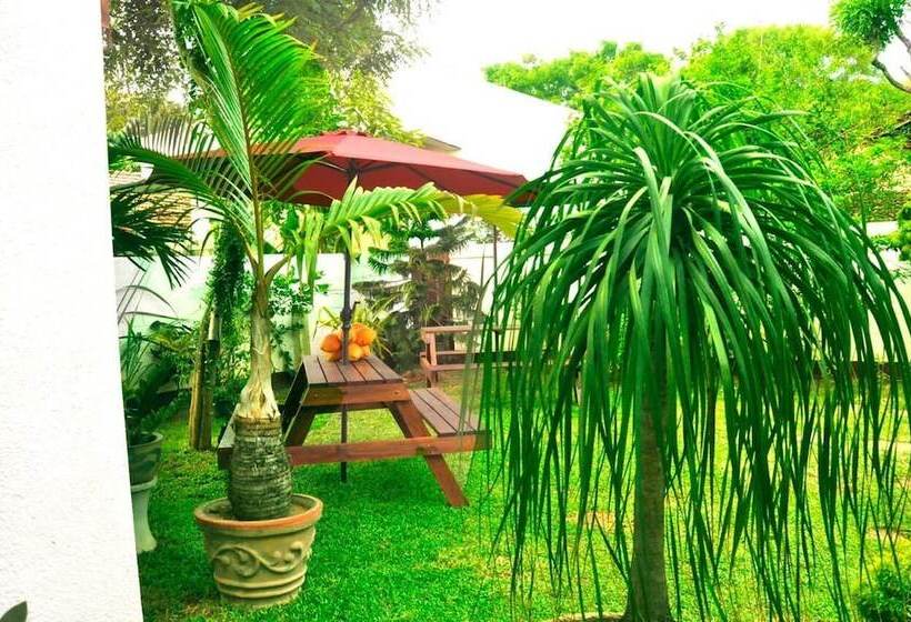 بنسيون New York Guest House