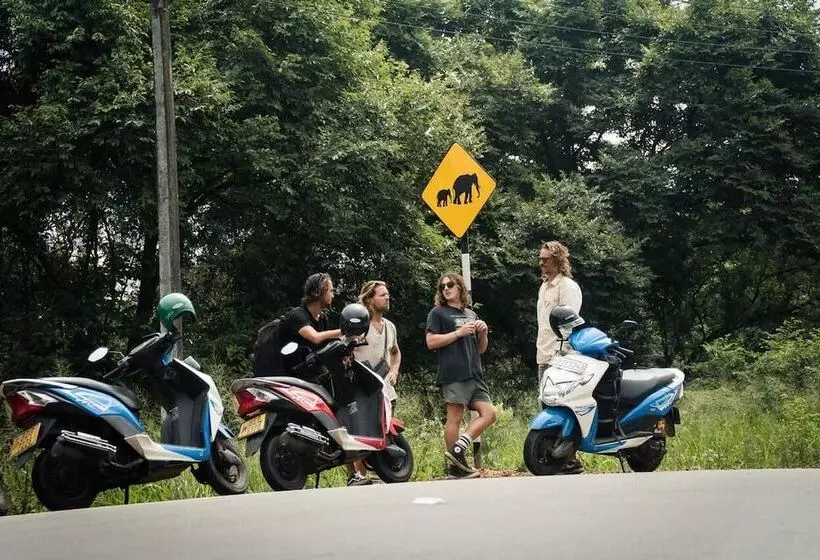 ペンション New York Guest House