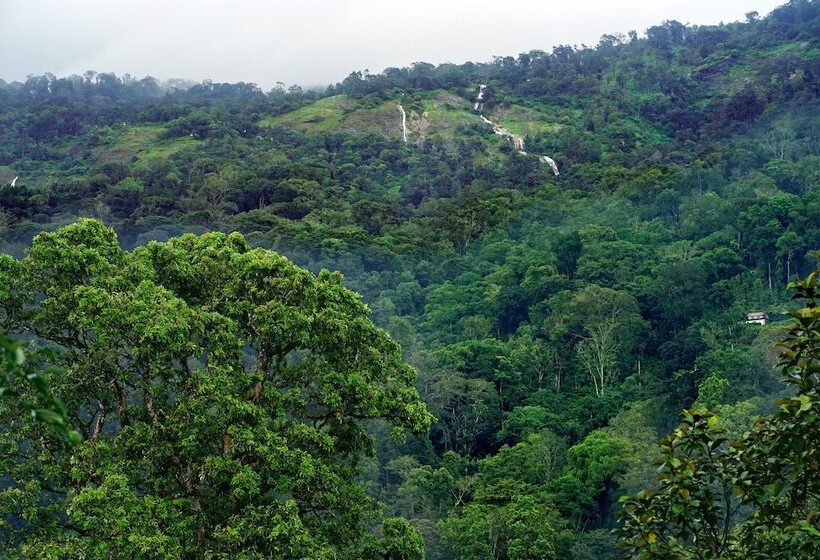 פנסיון Serene Stay By Oyo Rooms