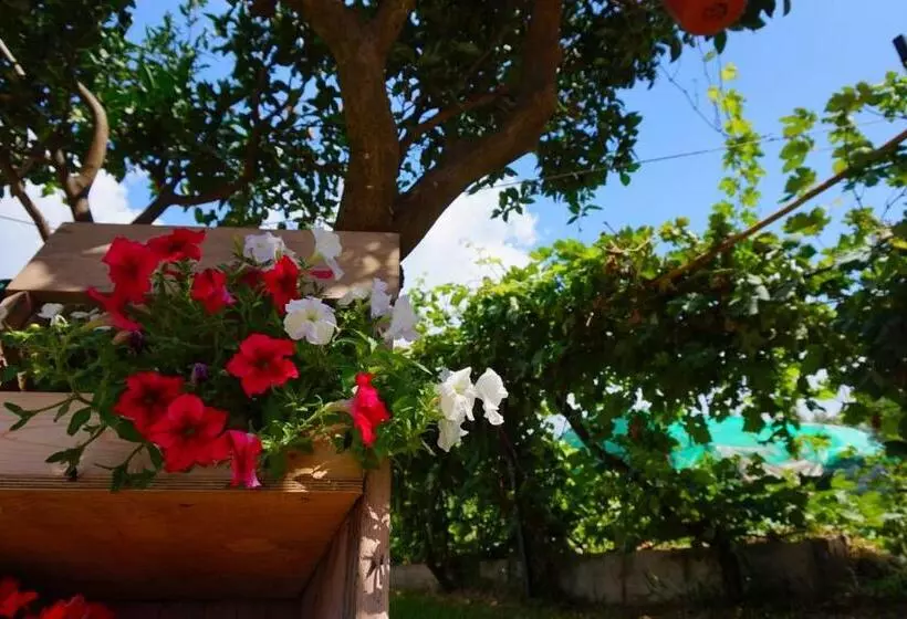 B&b Villa Del Sole