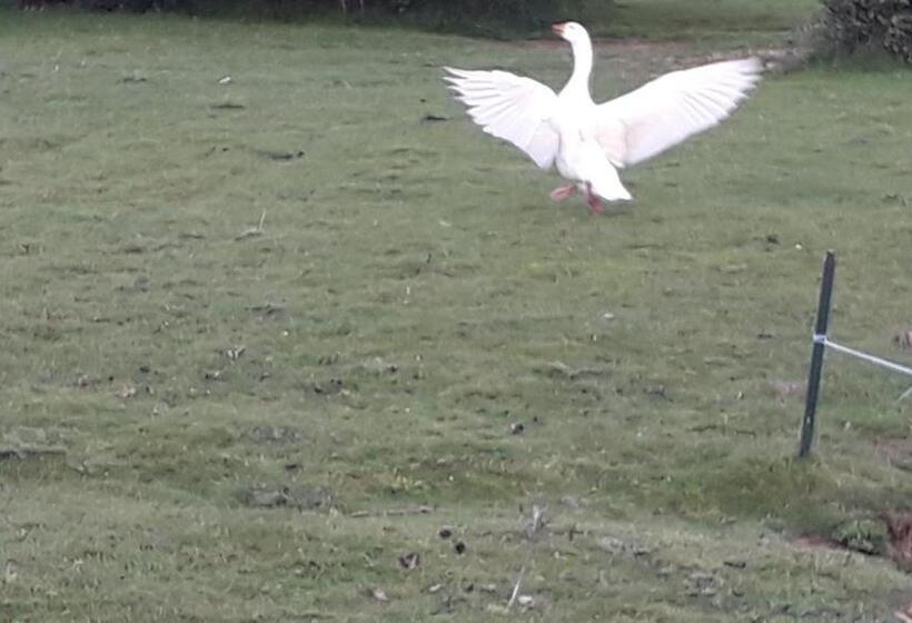 住宿加早餐  Chambre D Hote La Bouliere