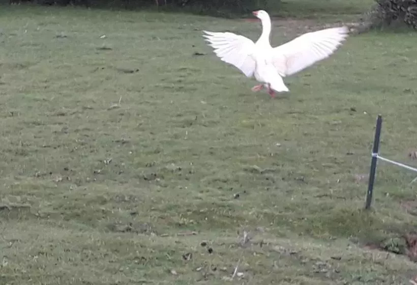 Aamiaismajoitus (B&B) Chambre D Hote La Bouliere