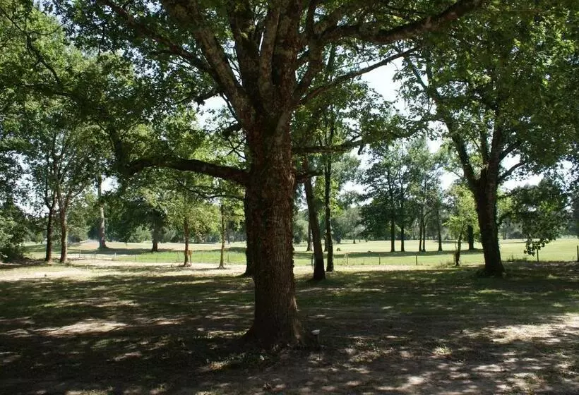 Aamiaismajoitus (B&B) Domaine Du Bois Seguin