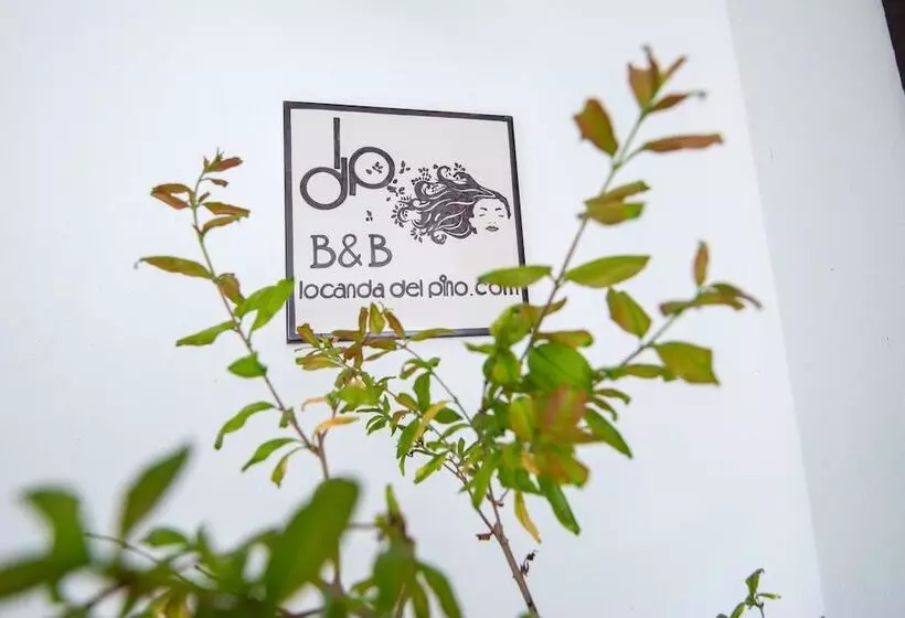 Aamiaismajoitus (B&B) Locanda Del Pino