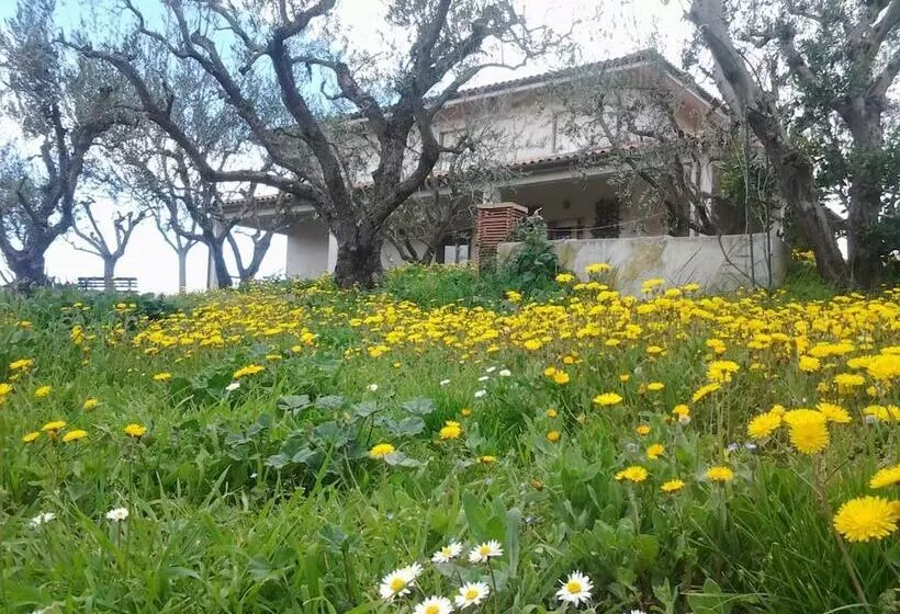 Aamiaismajoitus (B&B) Paglia E Fieno