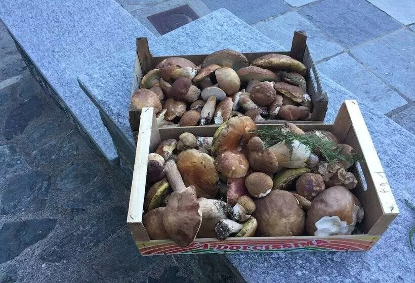 Hostelli Osteria Gaute La Nata