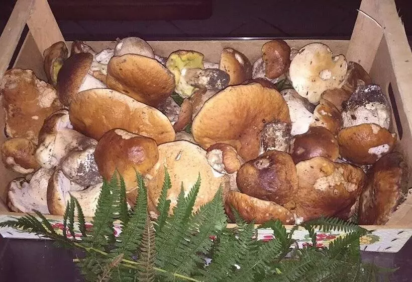 Hostelli Osteria Gaute La Nata