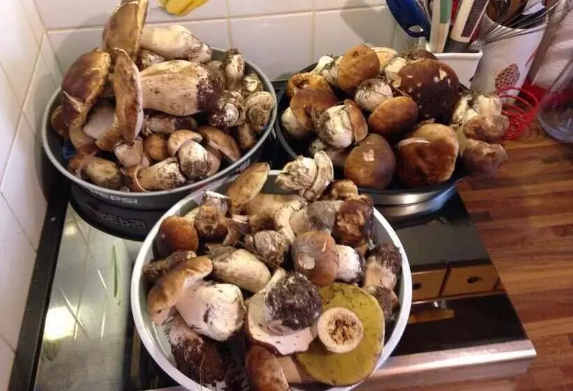 Hostelli Osteria Gaute La Nata