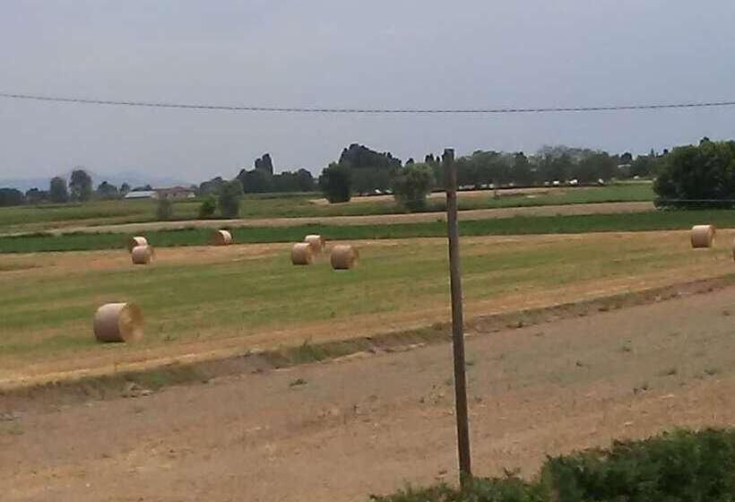 בית מלון כפרי Albergo Ristorante La Campagnola