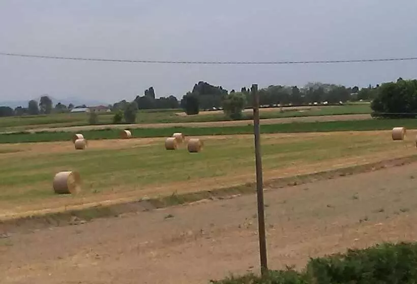 ホテル Albergo Ristorante La Campagnola