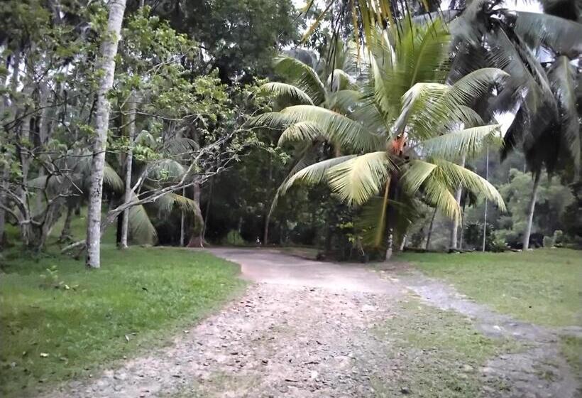 Hotel Miridiya Resort