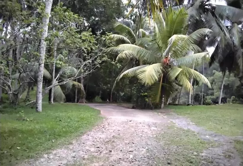 Hotelli Miridiya Resort