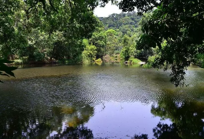 ホテル River Near Coorg