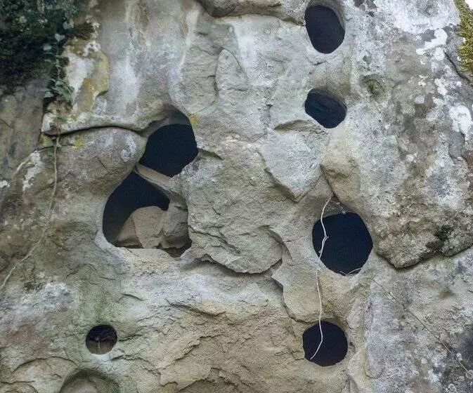 Maaseutuhotelli Agriturismo Arcera