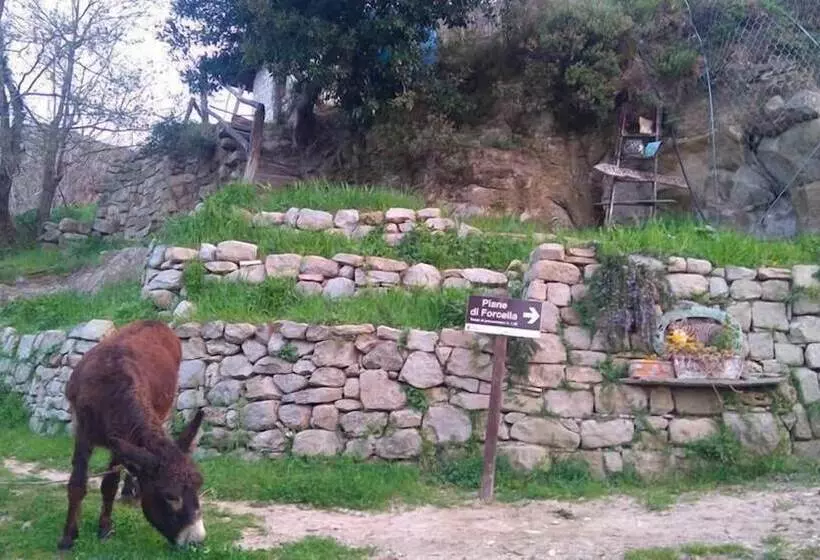 Maaseutuhotelli Agriturismo Arcera