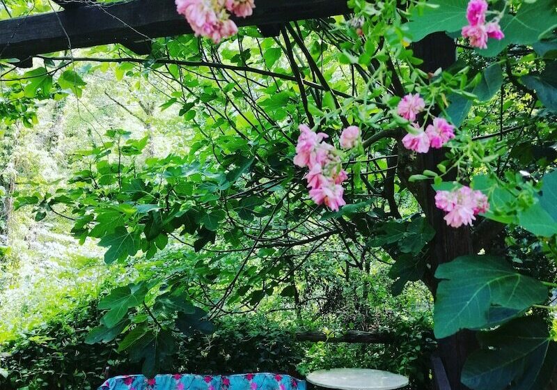 فندق ريفى Agriturismo Arcera