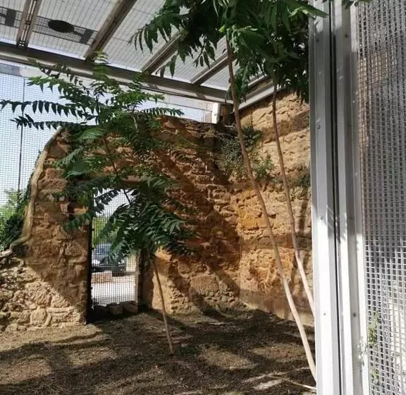 Palace Bed & Breakfast