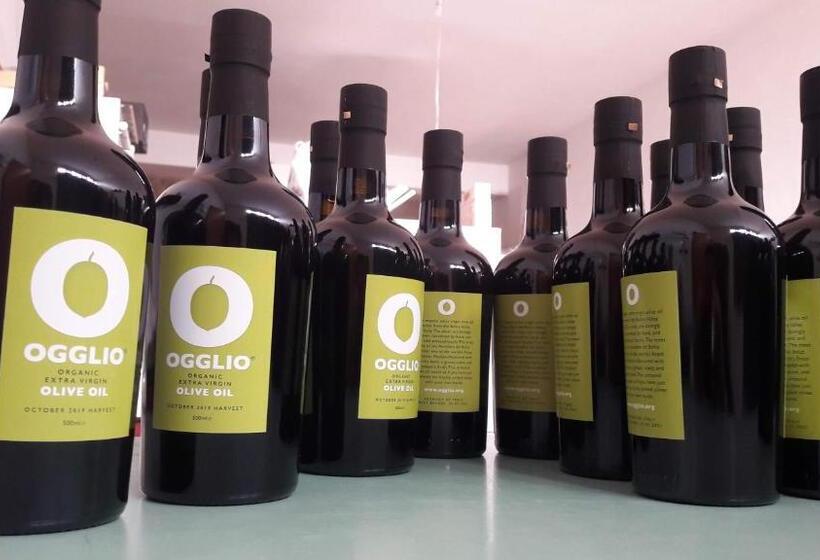 Palace Bed & Breakfast