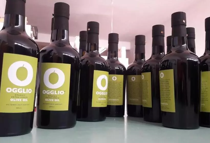 Palace Bed & Breakfast