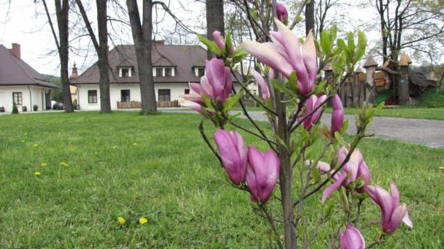 膳宿费 Gościniec Dworski W Ropie   Pokoje Gościnne
