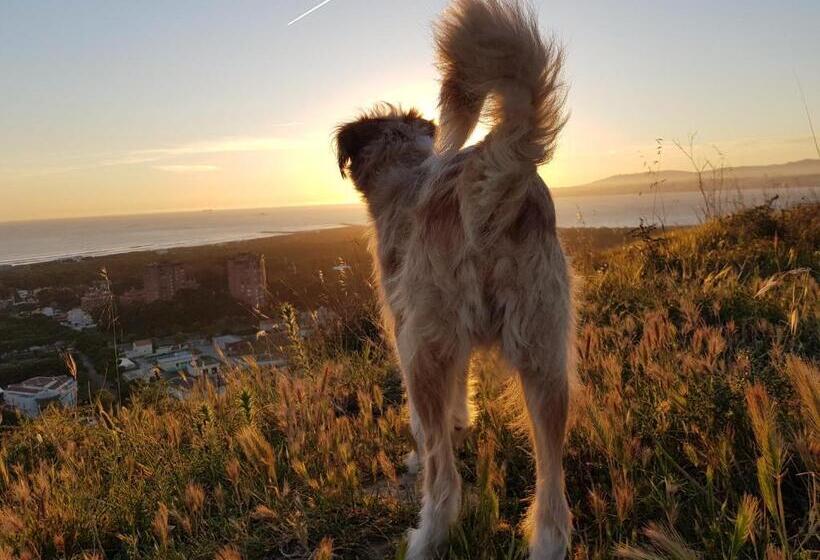 بنسيون Green Element Guesthouse