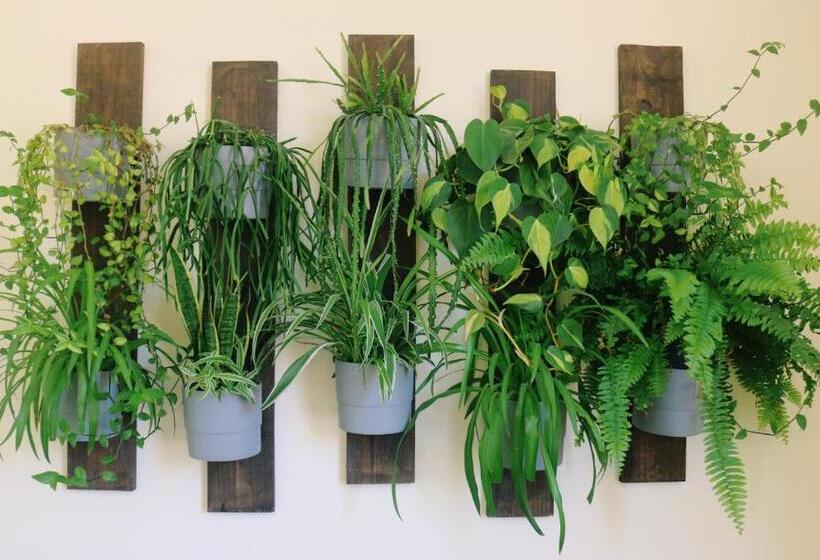 بنسيون Green Element Guesthouse