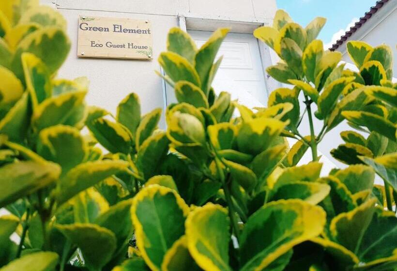 بنسيون Green Element Guesthouse