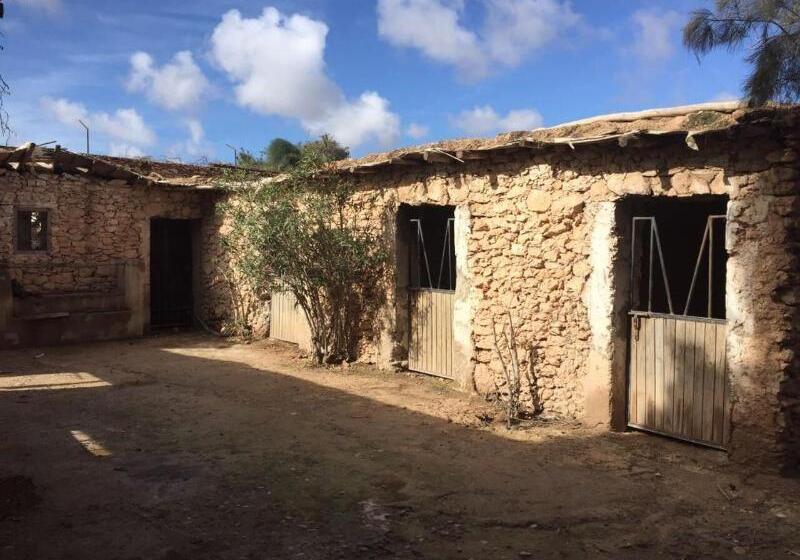 膳宿费 Villa Du Souss Eco Lodge