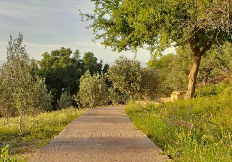 膳宿费 Villa Du Souss Eco Lodge