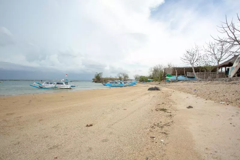 ユースホステル Telone Bungalow By Oyo Rooms