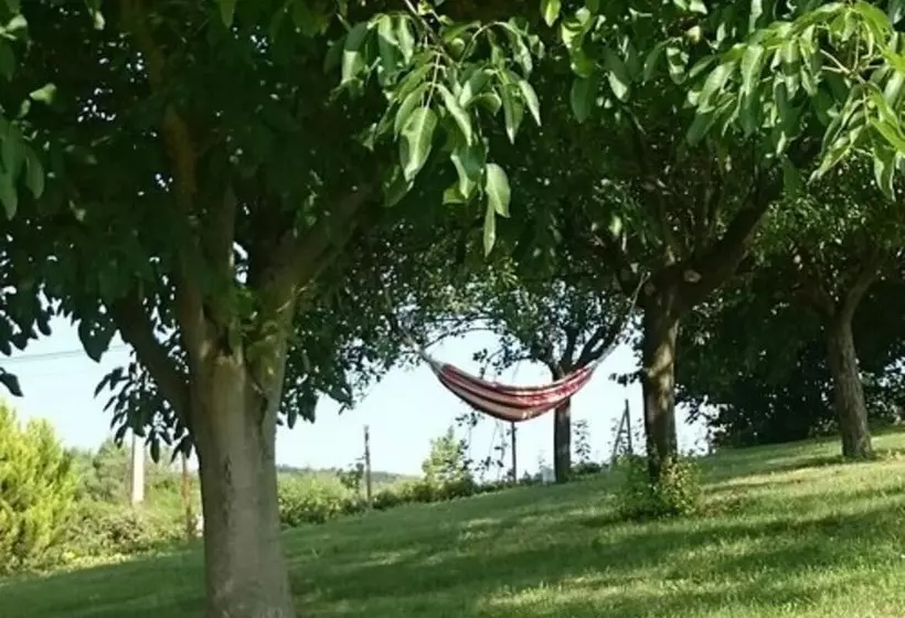 ベッドアンドブレックファースト Amour Aquitaine