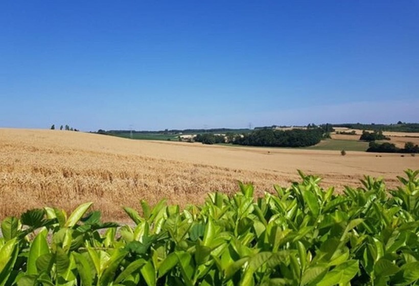مبيت وإفطار Amour Aquitaine