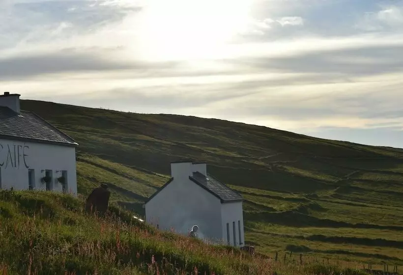 Hotelli Great Blasket Island Accommodation