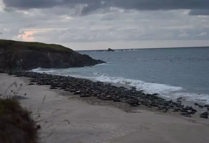 Hotelli Great Blasket Island Accommodation