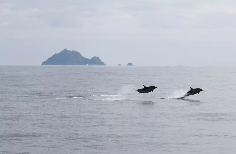 Hotelli Great Blasket Island Accommodation