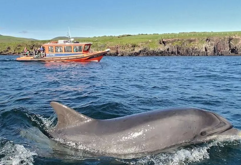 Hotelli Great Blasket Island Accommodation