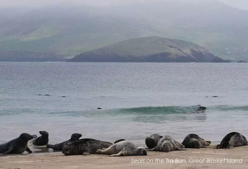 Hotelli Great Blasket Island Accommodation