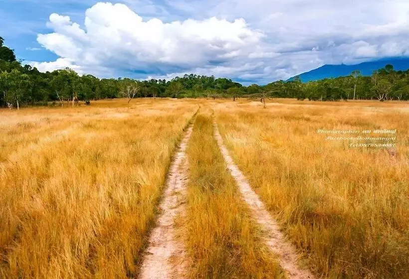 Hotelli The Camp Resort