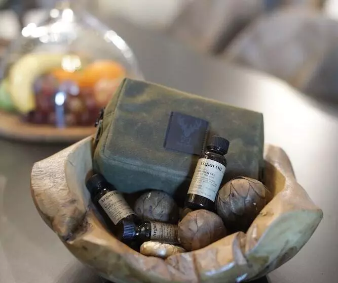 Magna Pivot Hotel   Boutique Class