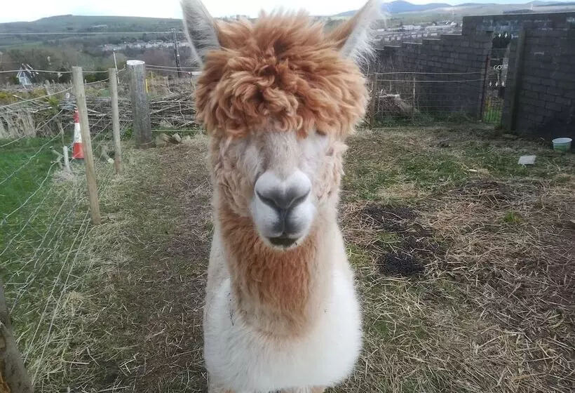 Majatalo Krishna Eco Farm