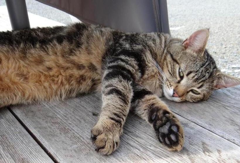 膳宿费 La Petite Houssaye