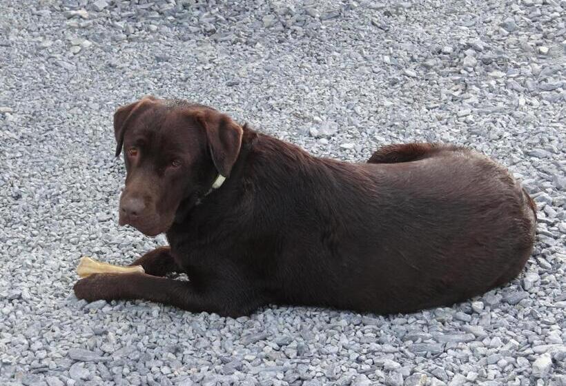 膳宿费 La Petite Houssaye