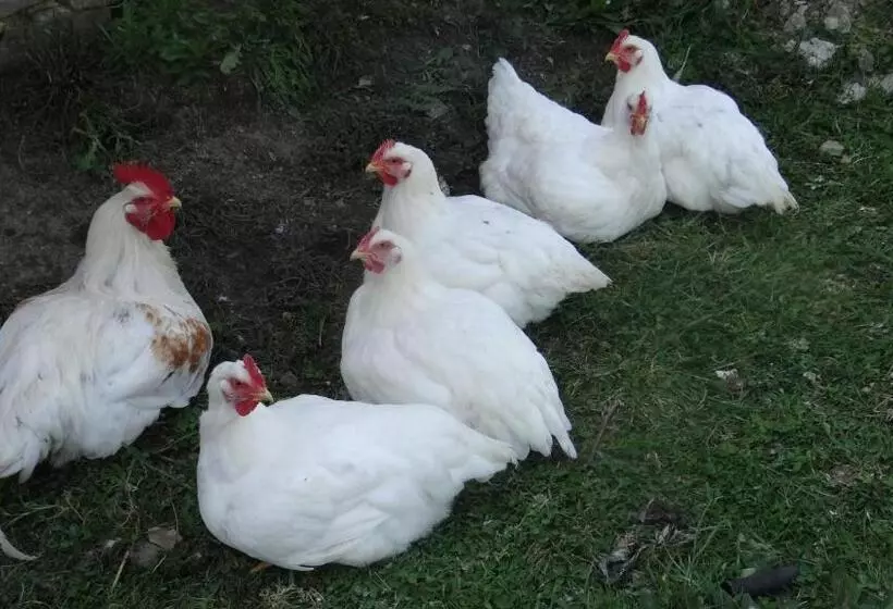 Majatalo La Petite Houssaye