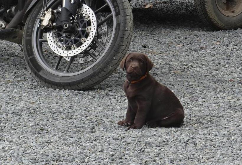 膳宿费 La Petite Houssaye