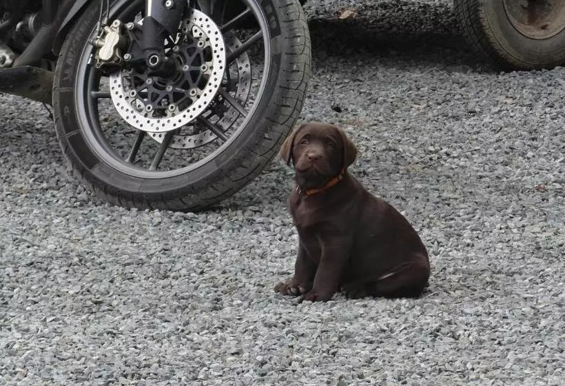 Majatalo La Petite Houssaye