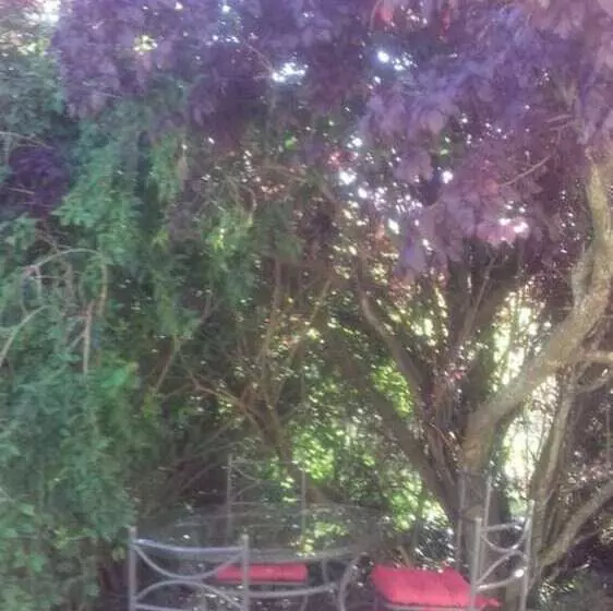 Majatalo Villakako Chambres D Hôtes