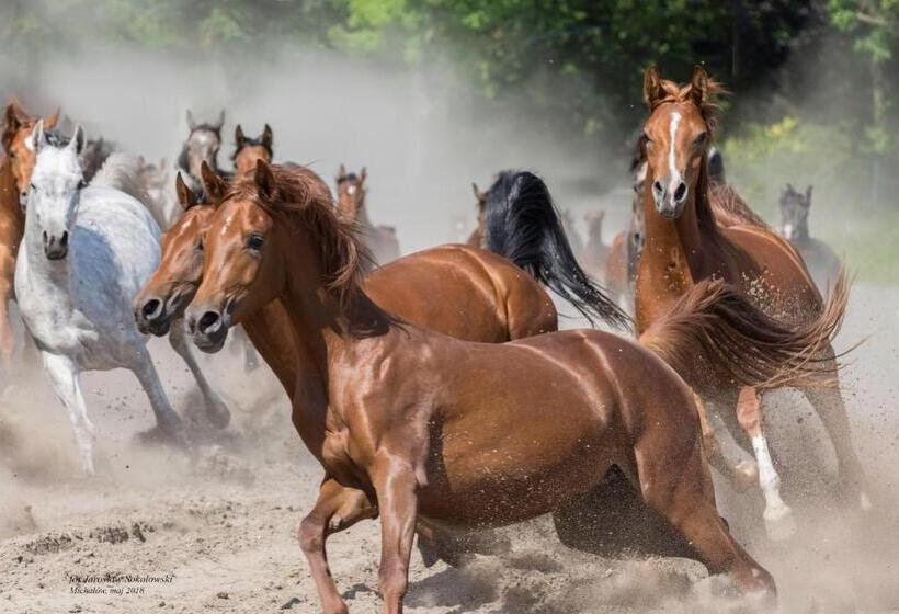 펜션 Willa Stara Wozownia