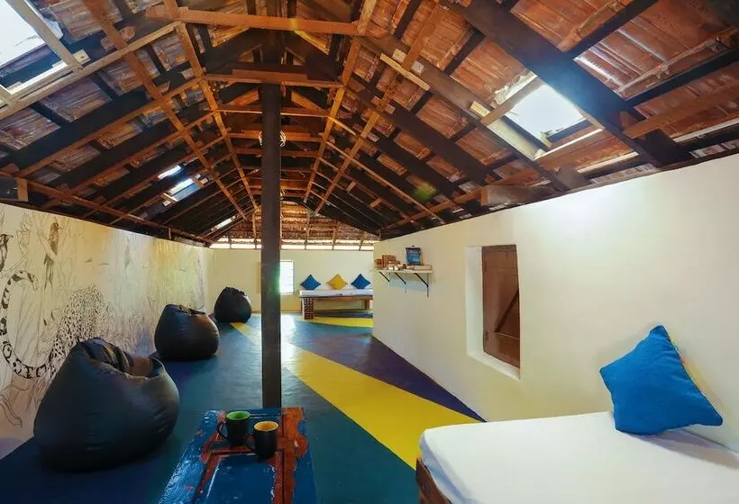 Zostel Coorg   Hostel