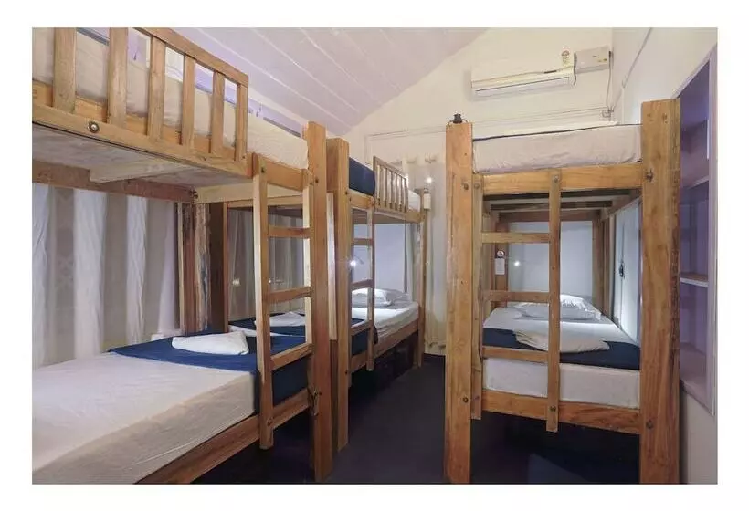 Zostel Coorg   Hostel